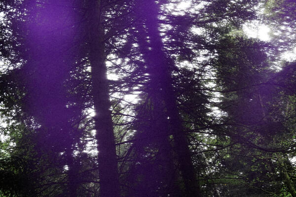 export lightroom-17.jpg