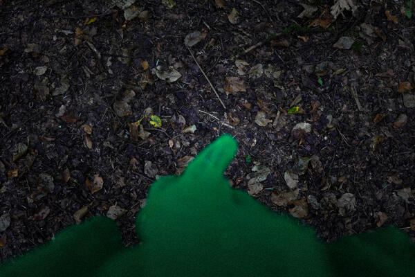 export lightroom-2.jpg